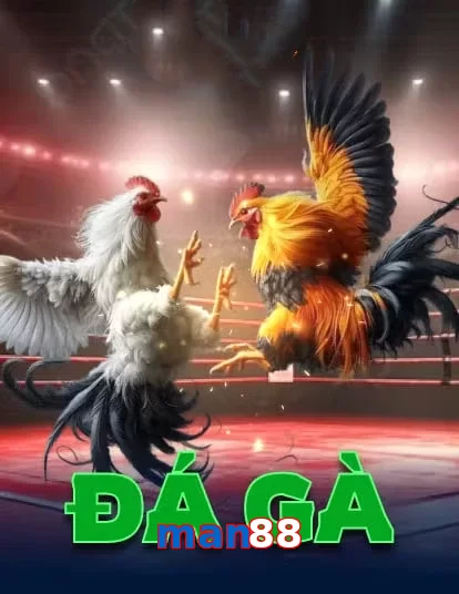 man88